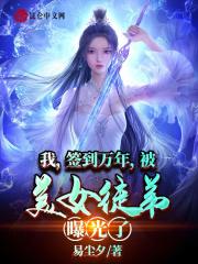 叶云神龙宗等级划分
